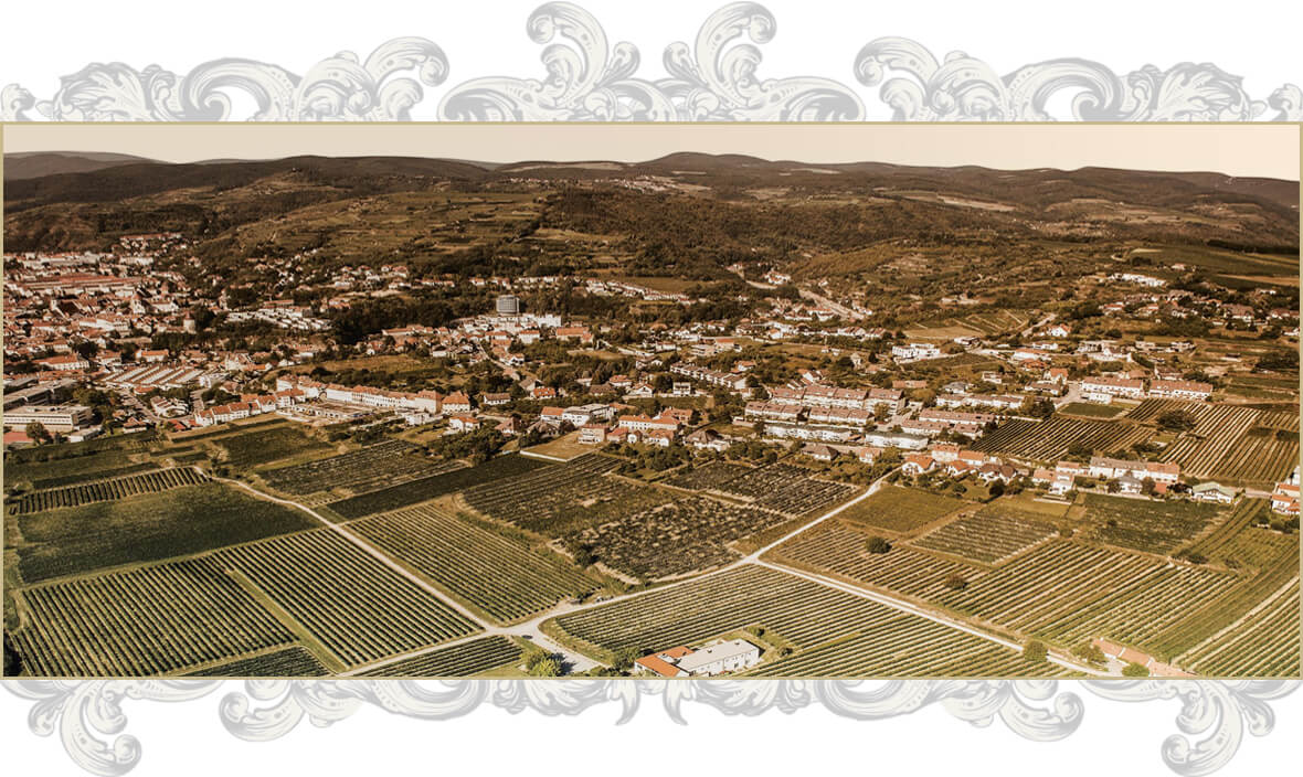 Weinzierlberg Weinzierlberg