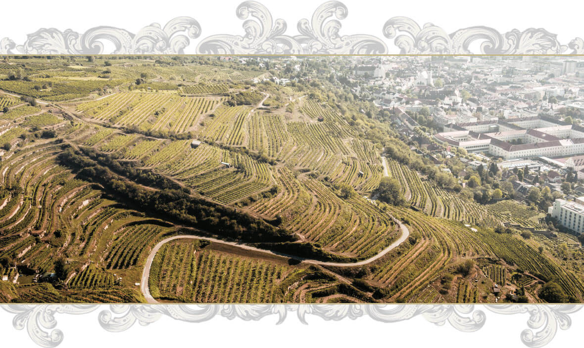 Wachtberg - Weingut Zöhrer Wachtberg - Weingut Zöhrer
