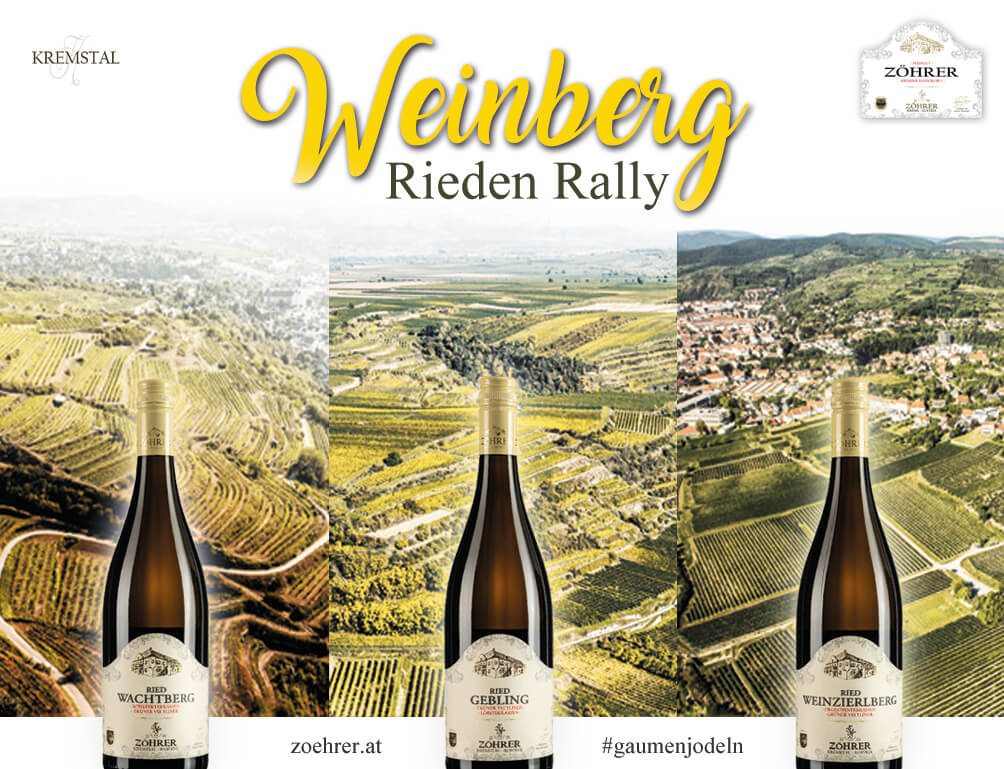 Riedenrally im Weingut Zöhrer Krems Riedenrally im Weingut Zöhrer Krems