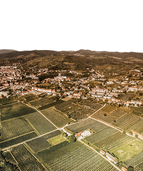Weinzierlberg